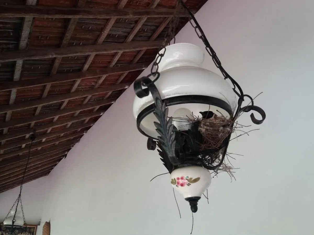 Embiente Guest House Negombo